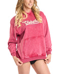 Pink Tour Hoodie